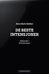 De beste intensjoner av Anne Karin Sæther (Ebok)