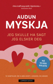 Jeg skulle ha sagt jeg elsker deg av Audun Myskja (Ebok)