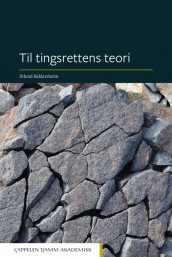 Til tingsrettens teori av Erlend Baldersheim (Innbundet)