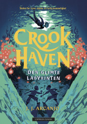 Crookhaven - Den glemte labyrinten av J. J. Arcanjo (Ebok)