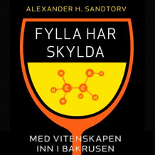 Fylla har skylda av Alexander H. Sandtorv (Nedlastbar lydbok)