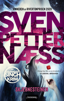 Skjebnesteinen av Sven Petter Næss (Ebok)