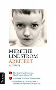 Arkitekt av Merethe Lindstrøm (Heftet)