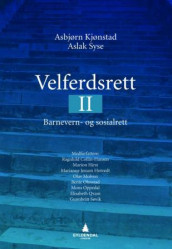 Velferdsrett II av Marion Hirst, Marianne Jenum Hotvedt, Julia Köhler-Olsen, Olav Molven, Bente Ohnstad, Mons Oppedal og Gunnbritt Søvik (Heftet)