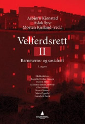 Velferdsrett II av Marion Hirst, Marianne Jenum Hotvedt, Julia Köhler-Olsen, Olav Molven, Bente Ohnstad, Mons Oppedal og Gunnbritt Søvik (Ebok)