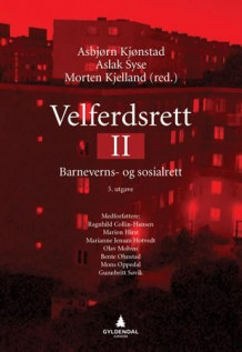 Velferdsrett II av Asbjørn Kjønstad, Aslak Syse, Morten Kjelland, Marion Hirst, Marianne Jenum Hotvedt, Olav Molven, Julia Köhler-Olsen, Bente Ohnstad, Mons Oppedal og Gunnbritt Søvik (Ebok)