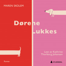 Dørene lukkes av Maren Skolem (Nedlastbar lydbok)