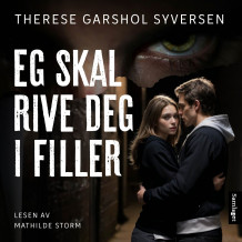 Eg skal rive deg i filler av Therese Garshol Syversen (Nedlastbar lydbok)