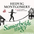 Samarbeidsmagi av Hedvig Montgomery og Eivind Sæther (Nedlastbar lydbok)