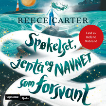 Spøkelset, jenta og navnet som forsvant av Reece Carter (Nedlastbar lydbok)